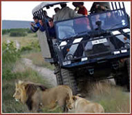 Game drives