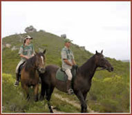 Horse-Back riding