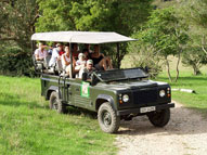 Game Drives