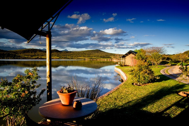 Buffelsdrift Game Lodge