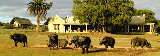 Gorah Elephant Camp Addo Elephant National Park, Eastern Cape