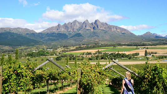 Val du Charron Wine Farm View