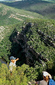 Kariega Game Reserve, Eastern Cape, South Africa