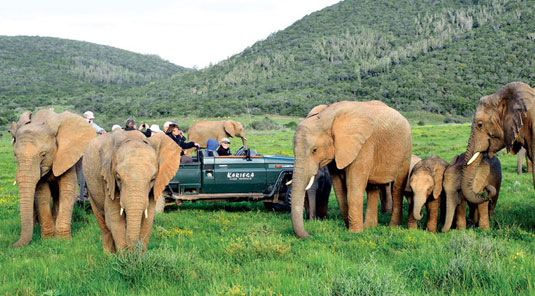 Kariega Game Reserve, Eastern Cape, South Africa