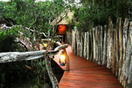 Tree Tops Lalibela Game Reserve Eastern Cape South Africa