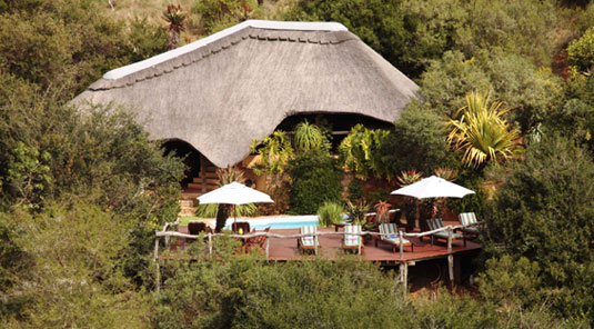 Lalibela Game Reserve Eastern Cape South Africa