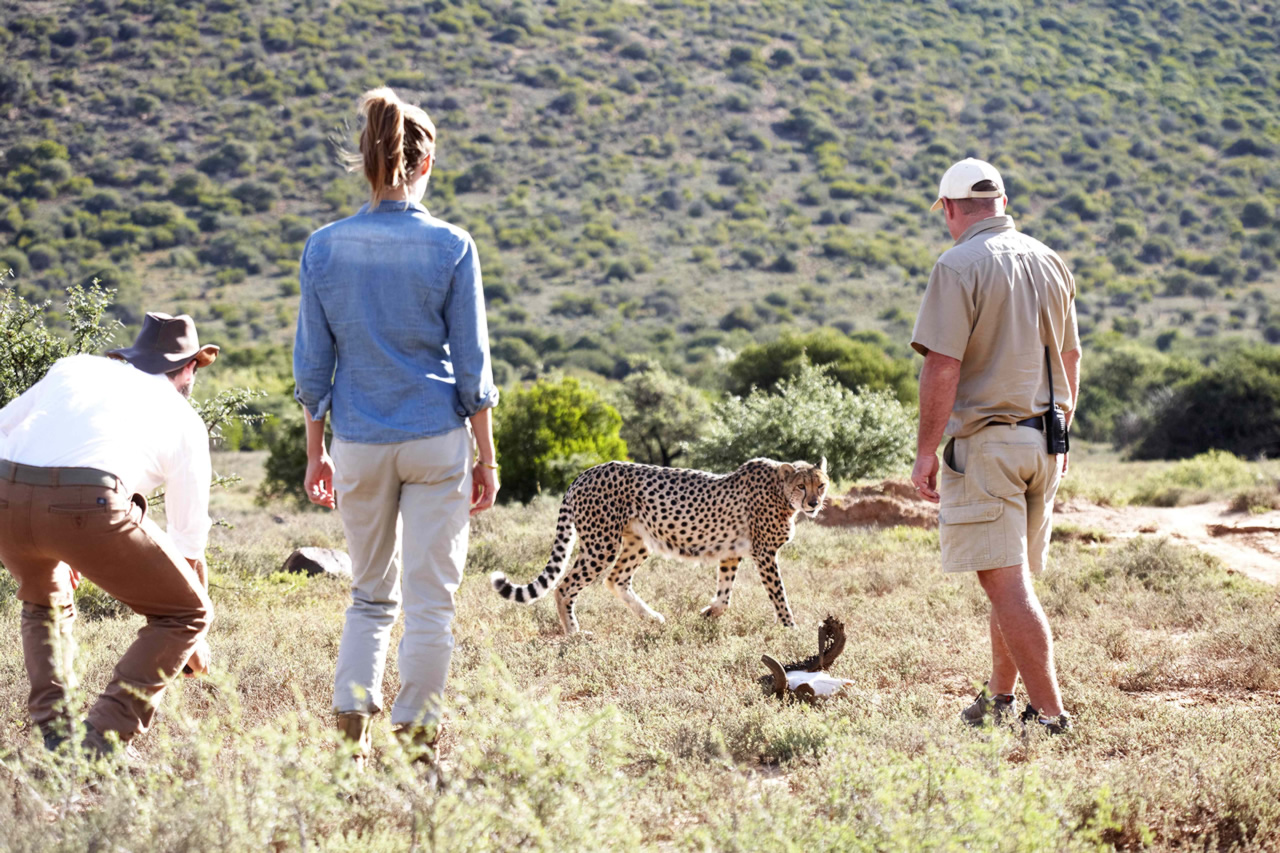 Mount Camdeboo Private Game Reserve | Graaff-Reinet | Eastern Cape Reservations