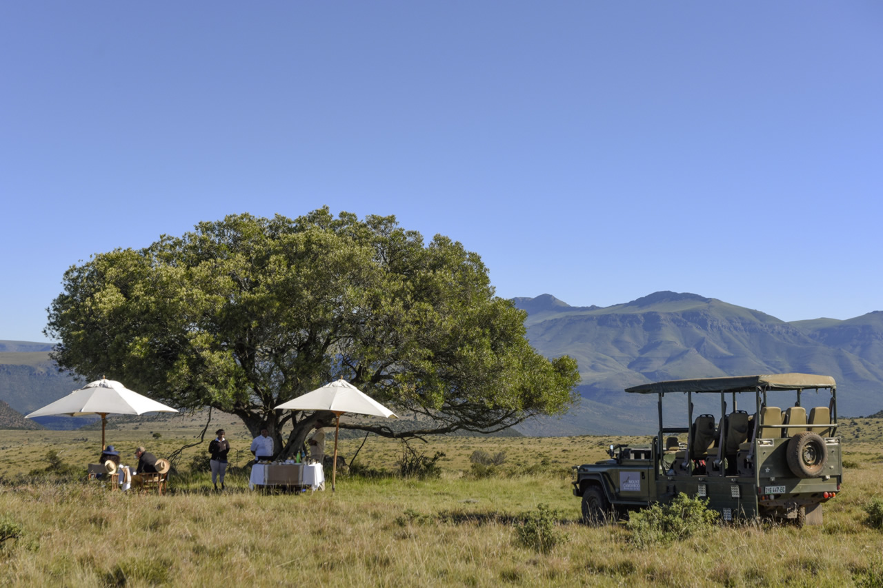 Mount Camdeboo Private Game Reserve | Graaff-Reinet | Eastern Cape Reservations