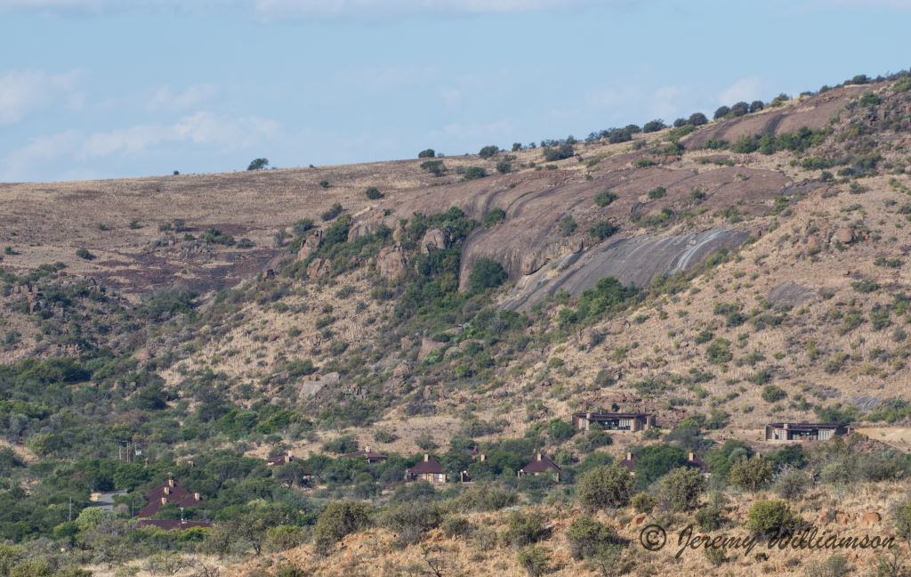 Mountain Zebra National Park